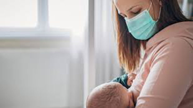 Bộ Y tế hướng dẫn chăm sóc phụ nữ có thai, bà mẹ cho con bú và trẻ sơ sinh mắc COVID-19