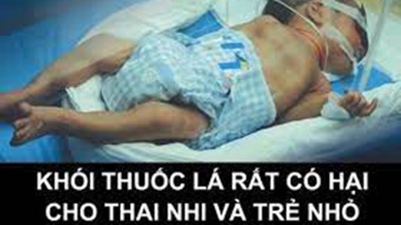 Tác hại của thuốc lá đối với sức khỏe con người